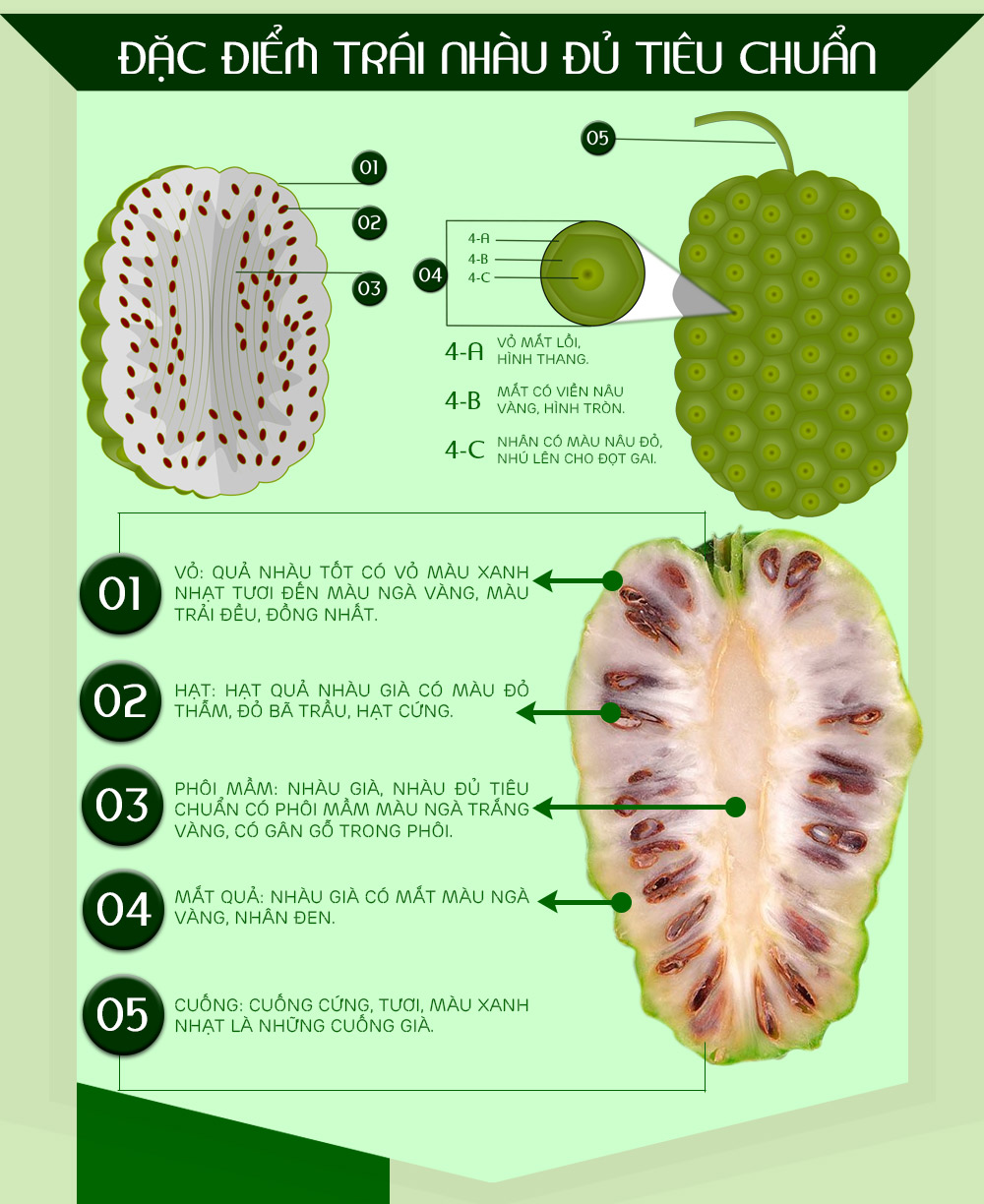 Noni truyền thống Juice tự nhiên (thùng) NO001 3