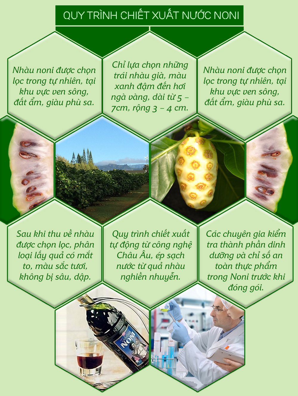Noni truyền thống Juice tự nhiên (thùng) NO001 7