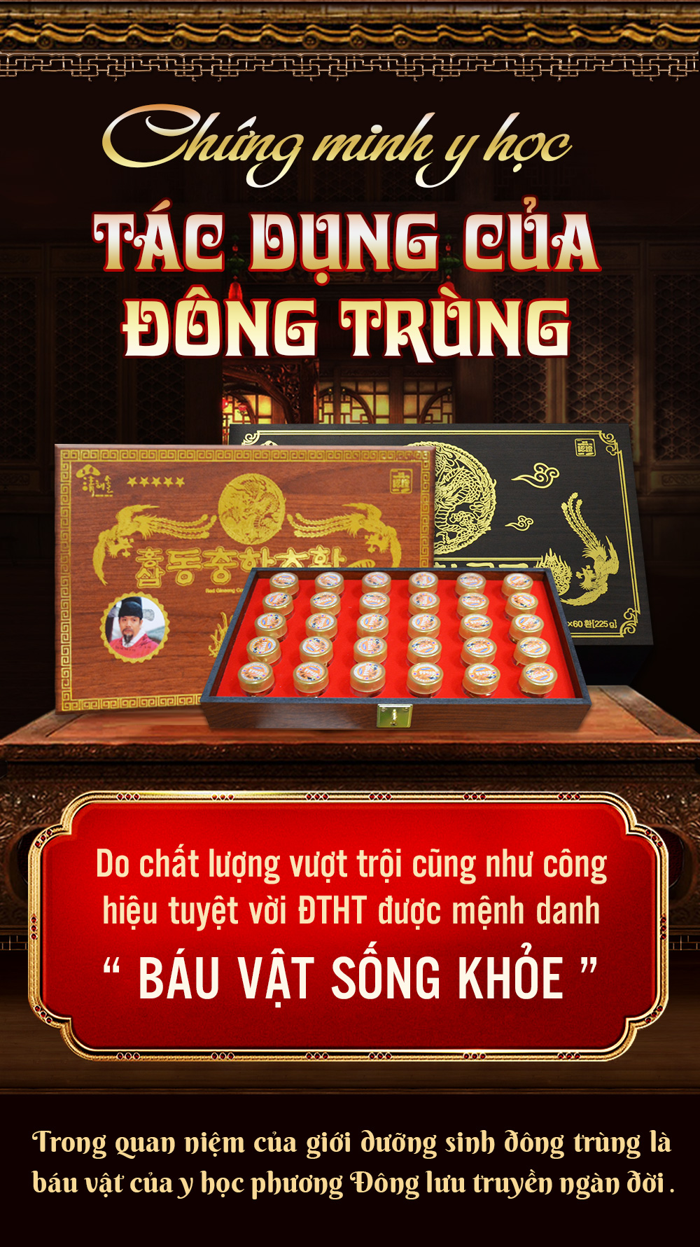 Đông Trùng Hạ Thảo Bio Viên Nhộng 02