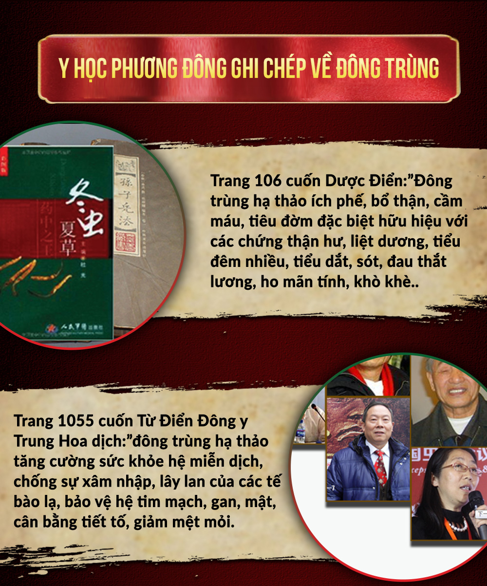 Đông Trùng Hạ Thảo Bio Viên Nhộng 03