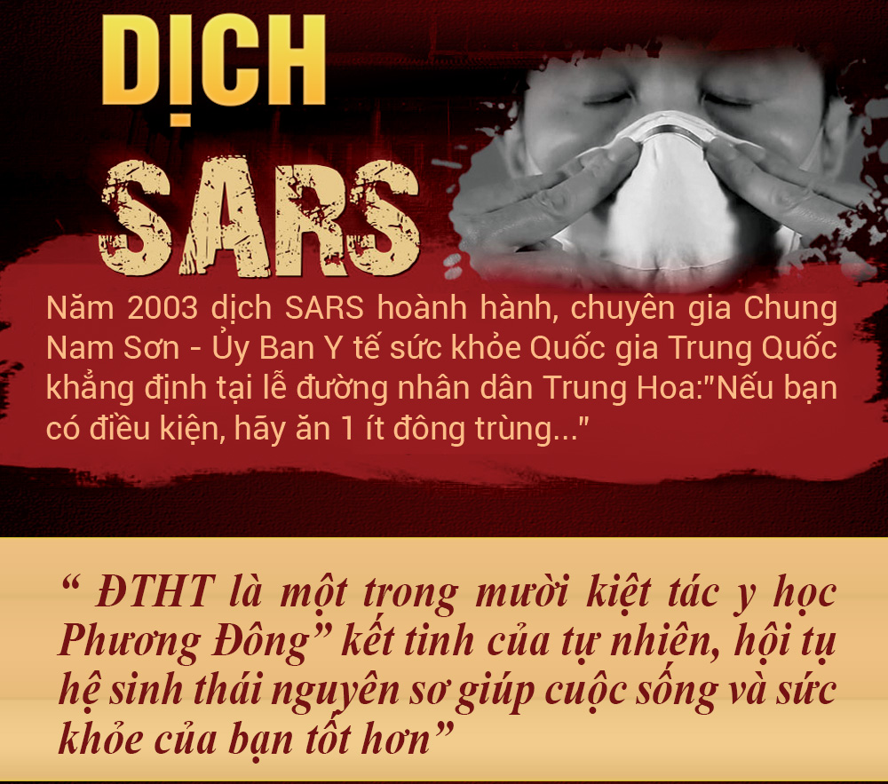 Đông trùng hạ thảo nhân sâm loại 30v D048 4