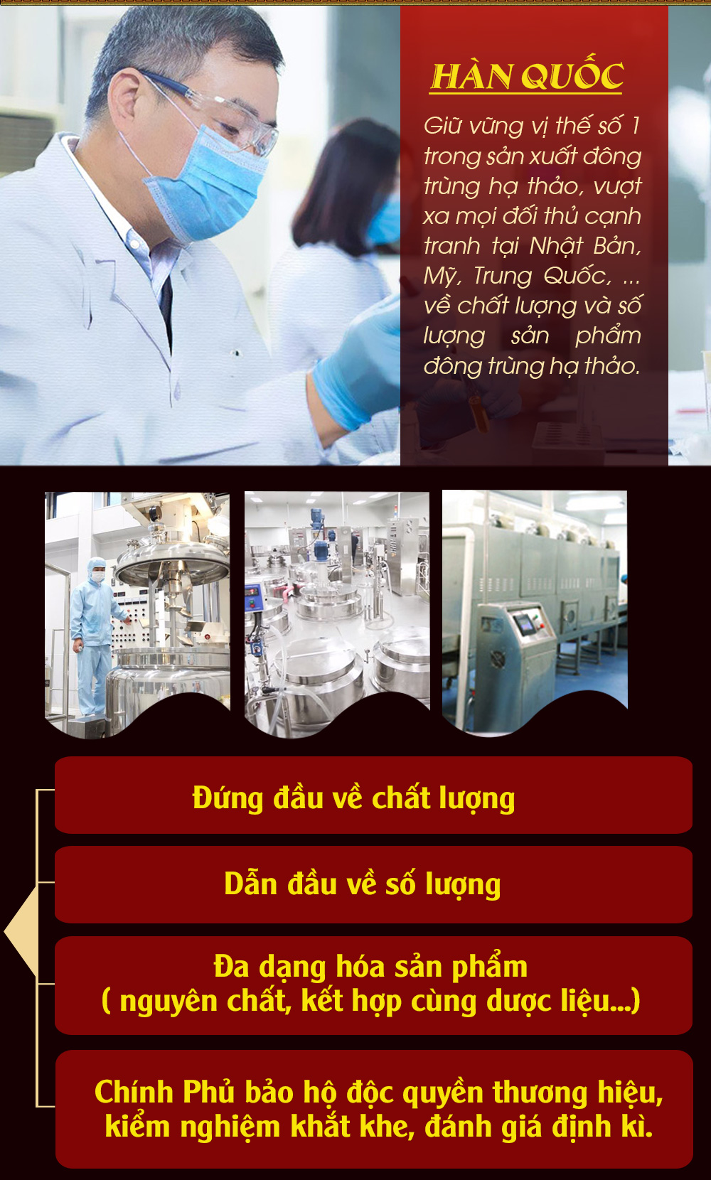 Đông Trùng Hạ Thảo Viên Hoàn Gold Cao Cấp D024 9