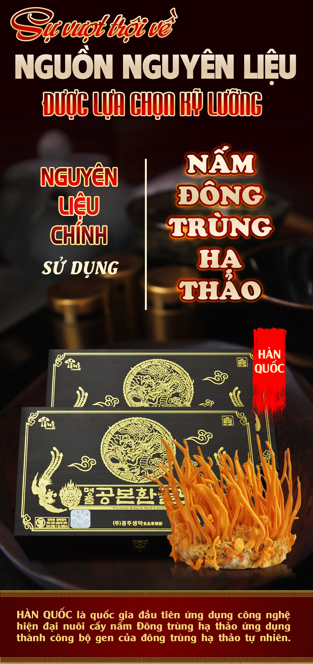 Đông Trùng Hạ Thảo Bio Viên Nhộng 10
