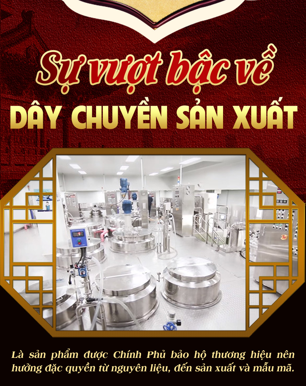 Đông Trùng Hạ Thảo Viên Hoàn Gold Cao Cấp D024 12