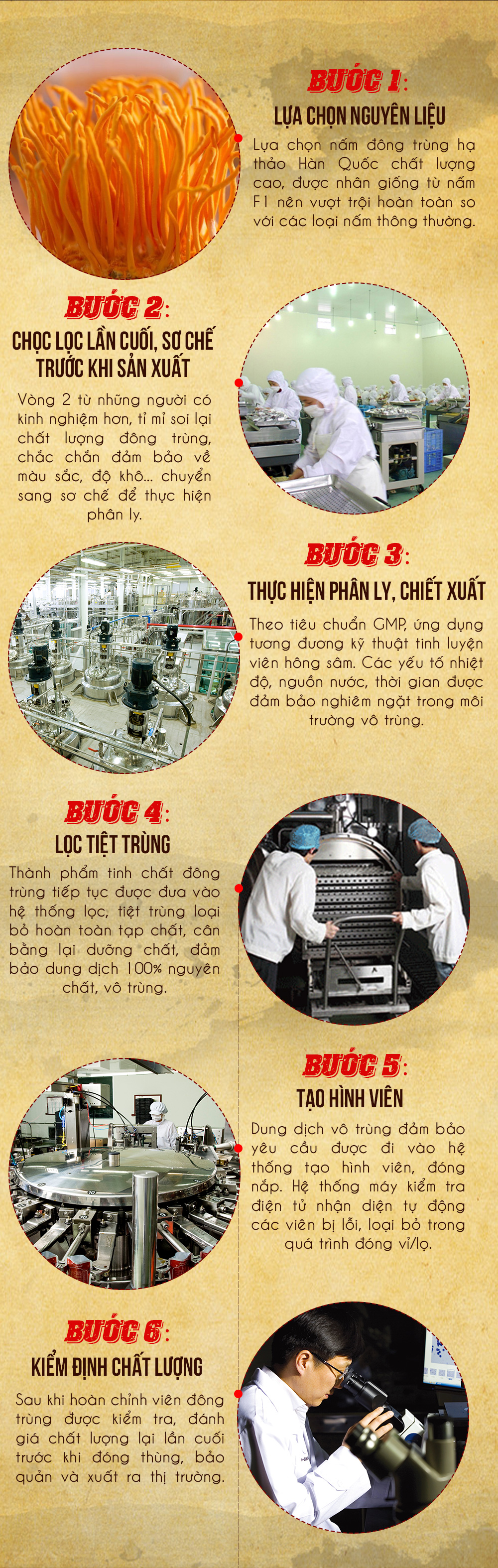 Đông Trùng Hạ Thảo Bio Viên Nhộng 15