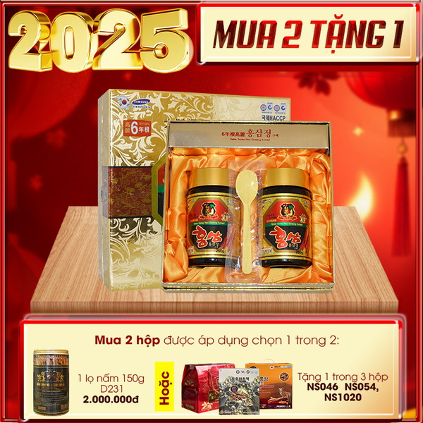 Quà tặng ý nghĩa Cao hồng sâm Hàn Quốc 6 năm tuổi 2 lọ/hộp NS035