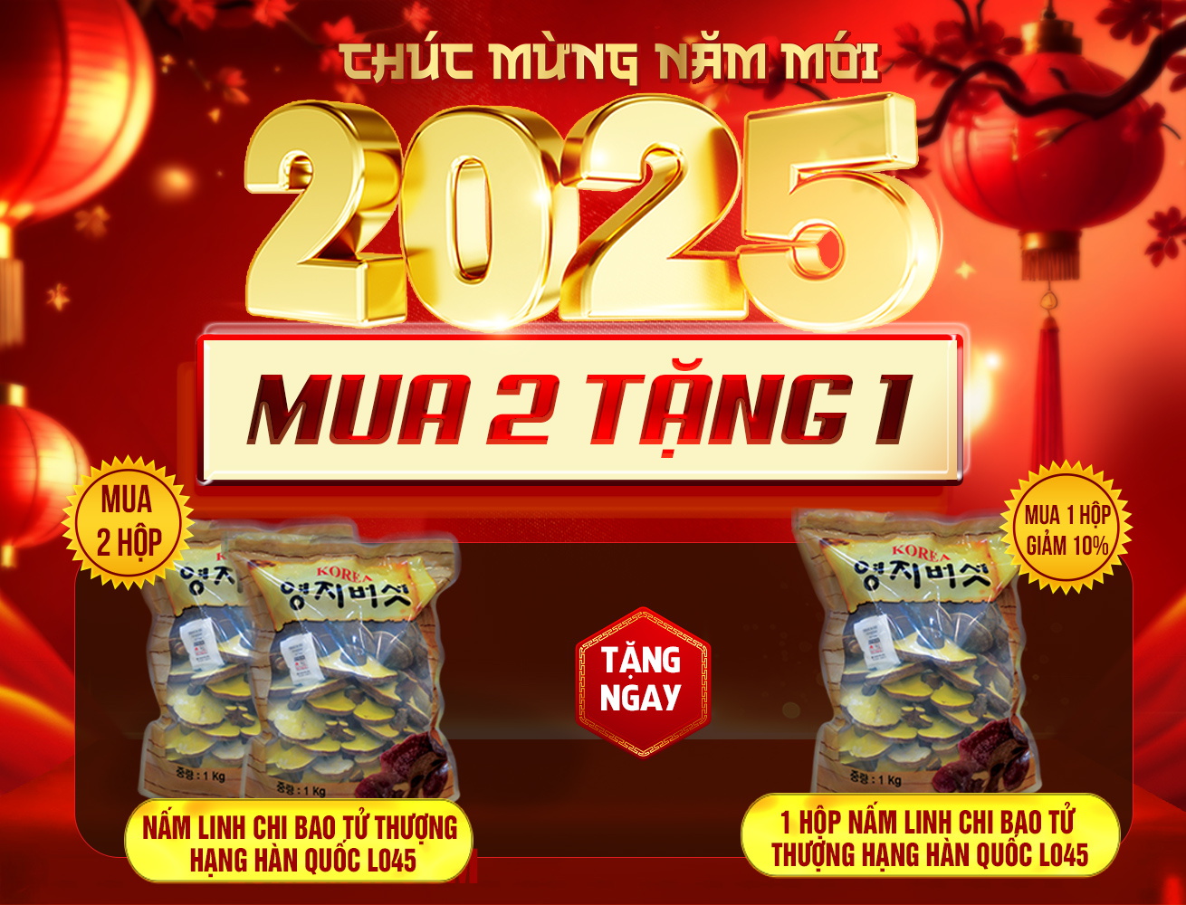 Hộp quà biếu cao cấp nấm linh chi bào tử thượng hạng Hàn Quốc L045