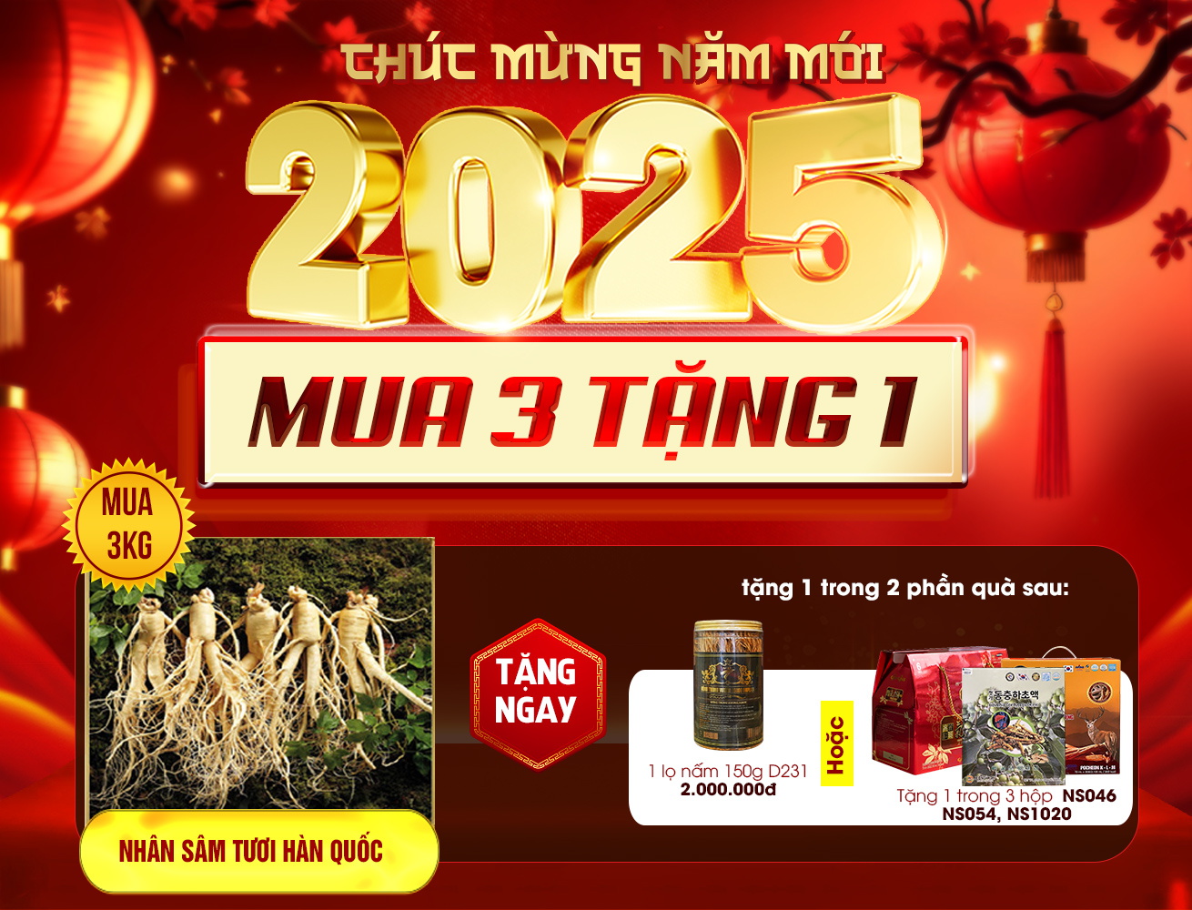 Sâm tươi Hàn Quốc cao cấp loại 4 củ/kg NS002