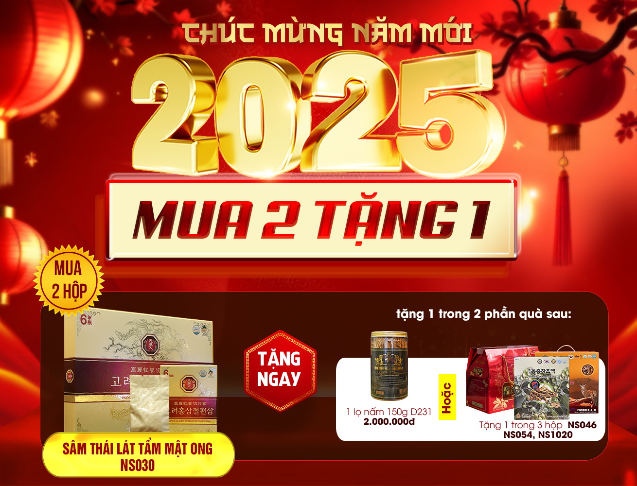 Quà biếu hồng sâm thái lát tẩm mật ong 6 năm tuổi cao cấp Bio Apgold Hàn Quốc NS030
