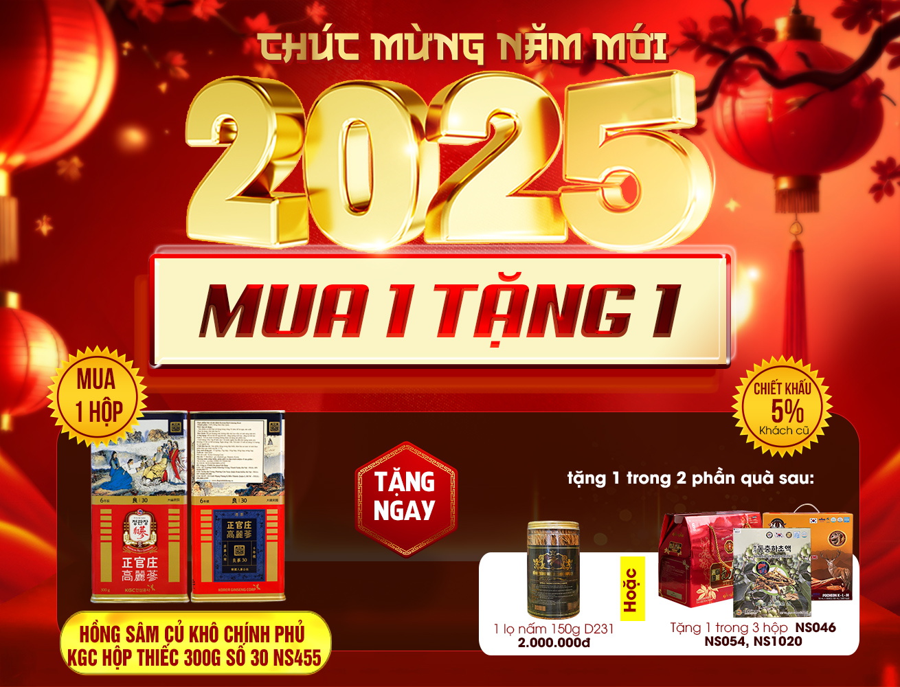 Hộp quà biếu Hồng Sâm Củ Khô Chính Phủ KGC Hộp Thiếc 300g Số 30 (19 Củ) NS455