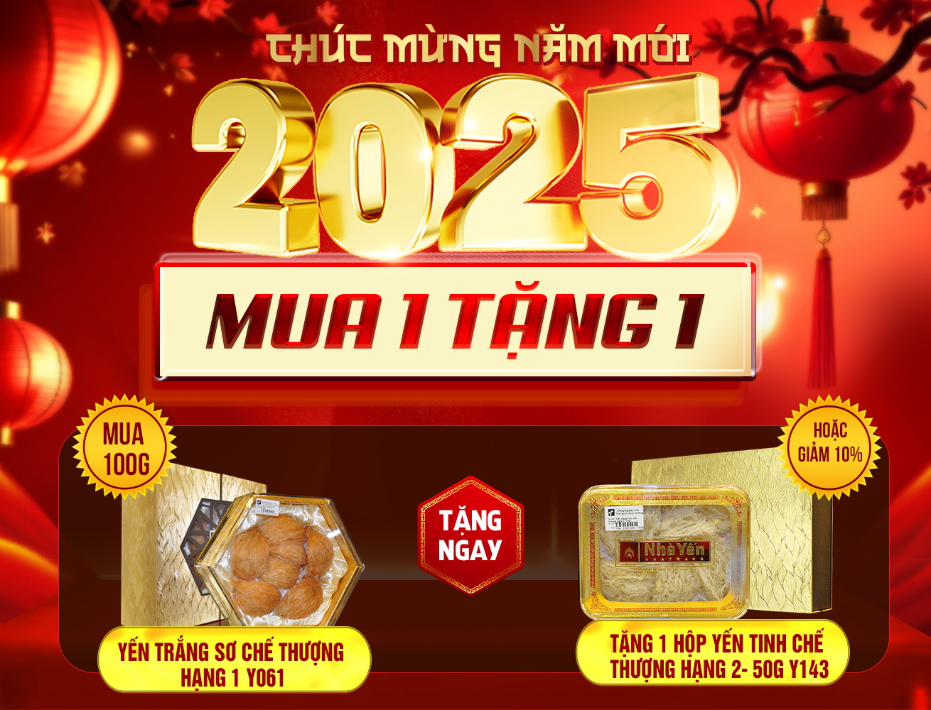 Hộp quà biếu tổ yến huyết tinh chế thượng hạng loại 100g Y061