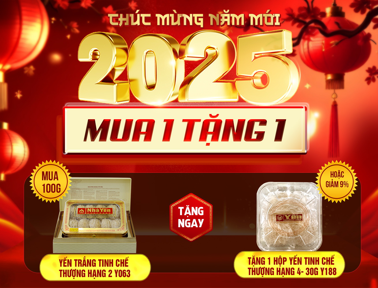 Quà tặng độc đáo Tổ Yến trắng tinh chế thượng hạng loại 1 hộp 100g Y063