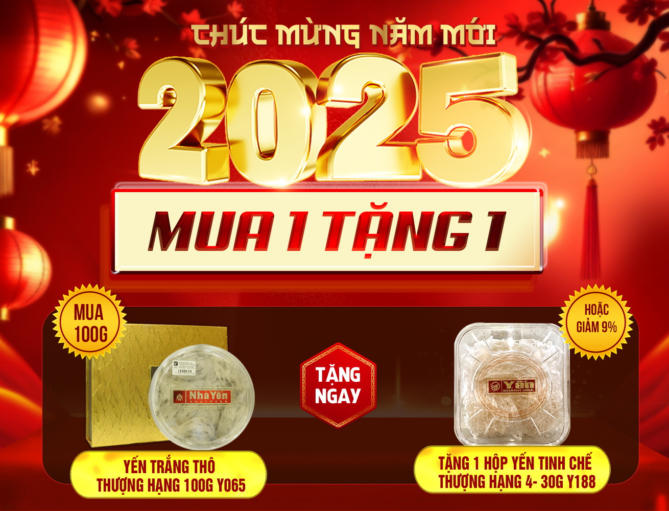 Hộp quà biếu tổ yến trắng thô cao cấp thượng hạng loại 100g/hộp Y065