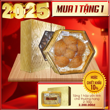 Hộp quà biếu tổ yến huyết tinh chế thượng hạng loại 100g Y061