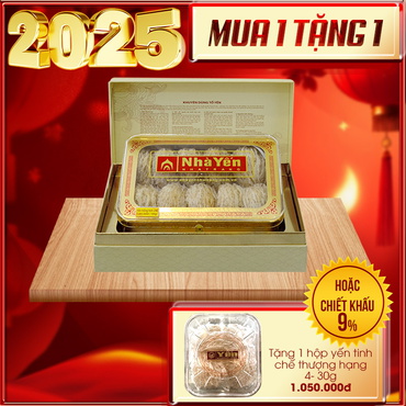 Quà tặng độc đáo Tổ Yến trắng tinh chế thượng hạng loại 1 hộp 100g Y063