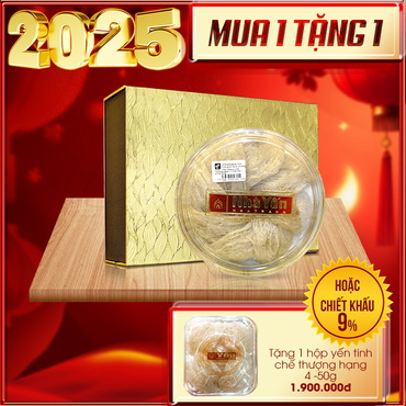 Set quà tặng Tổ yến trắng sơ chế Nhà Yến thượng hạng hộp 100g loại 1 Y066