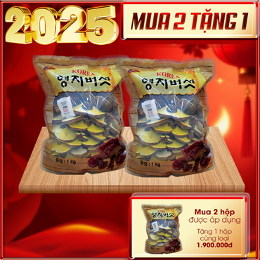 Hộp quà biếu cao cấp nấm linh chi bào tử thượng hạng Hàn Quốc L045