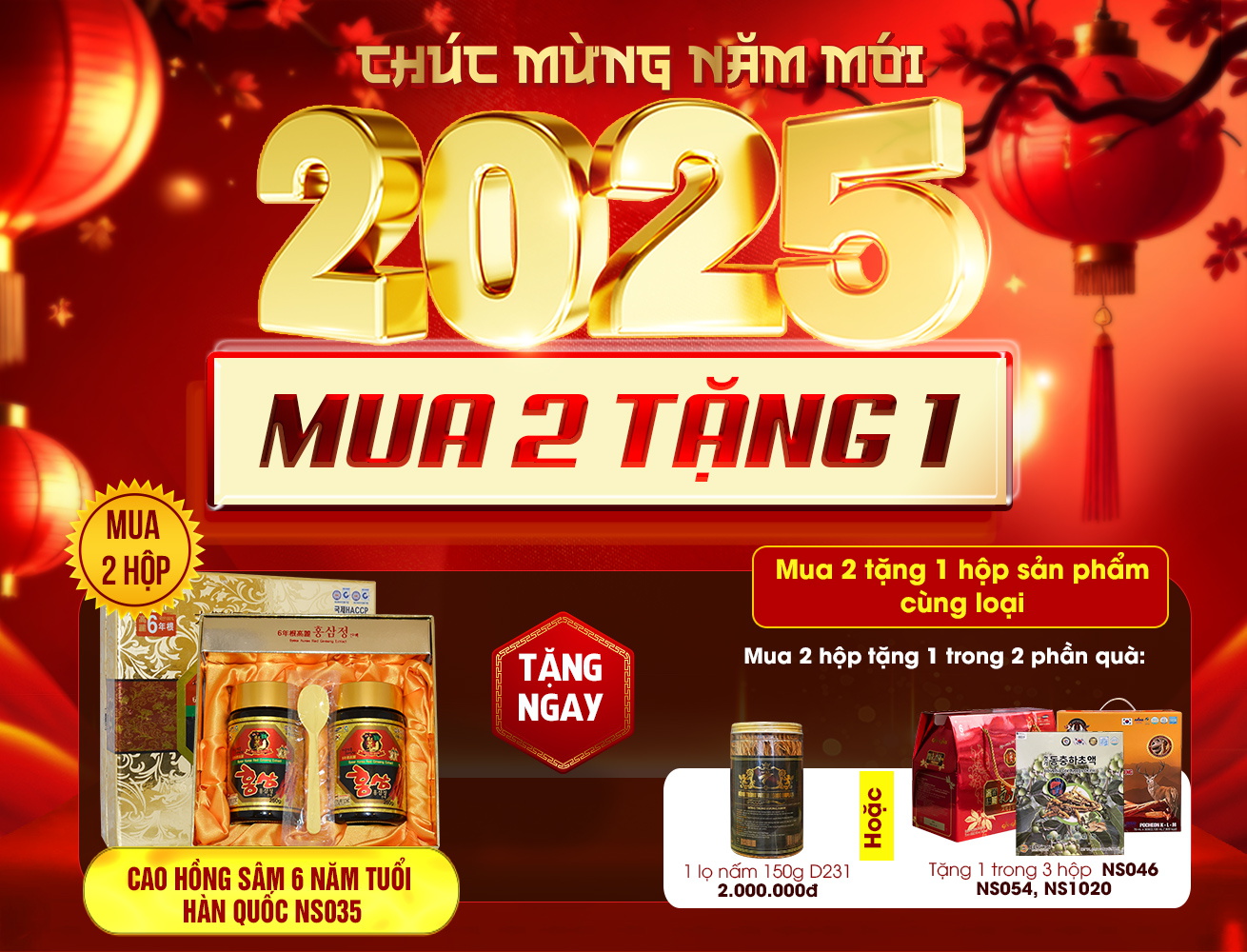 Quà tặng ý nghĩa Cao hồng sâm Hàn Quốc 6 năm tuổi 2 lọ/hộp NS035