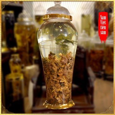 Bình ngâm rượu sâm Việt Nam 41L – 6kg sâm tươi