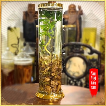 Bình sâm Việt Nam loại cao cấp 15l ngâm 2kg sâm