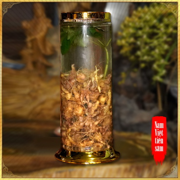 Combo 3kg sâm tươi Việt Nam cùng bình thủy tinh 16l 