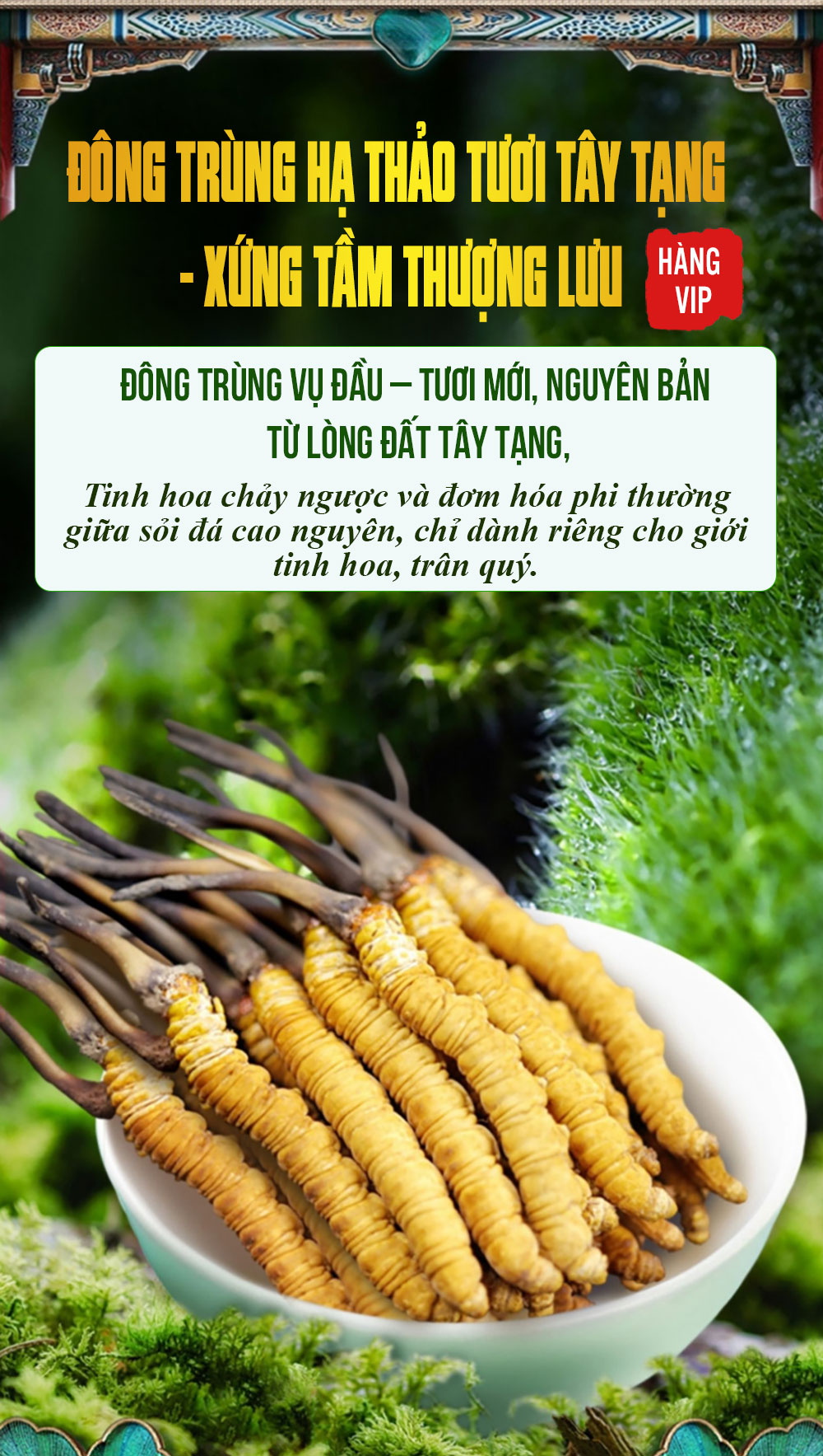 Con đông trùng tươi là gì?