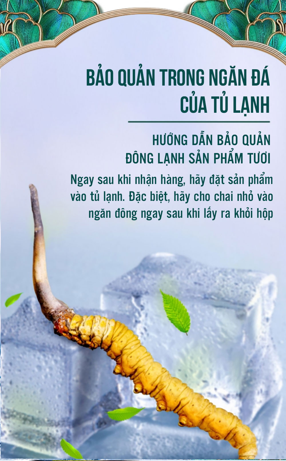Bảo quản đông trùng tươi