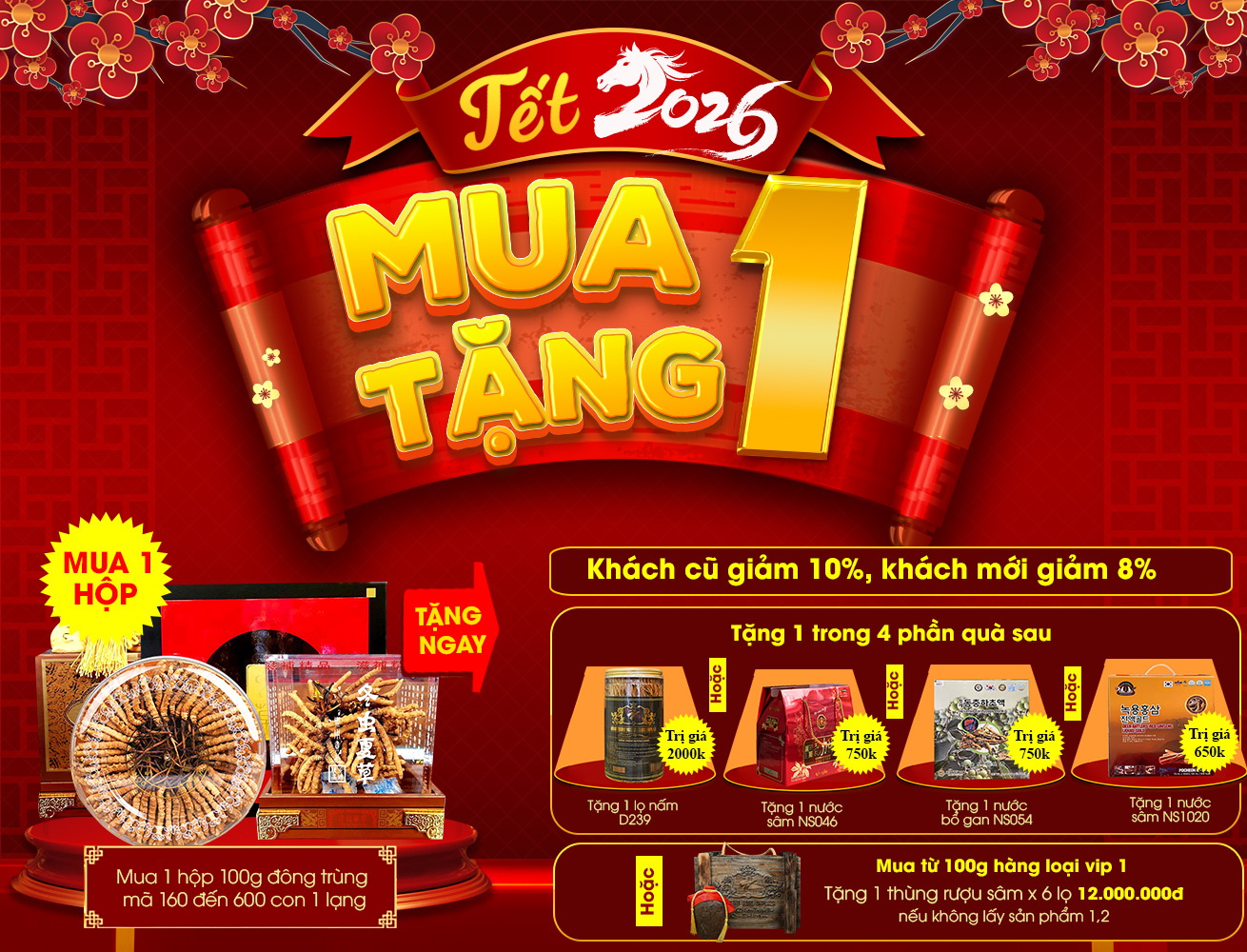 Quà biếu đông trùng hạ thảo Tây Tạng hộp 100g loại 500 con D223