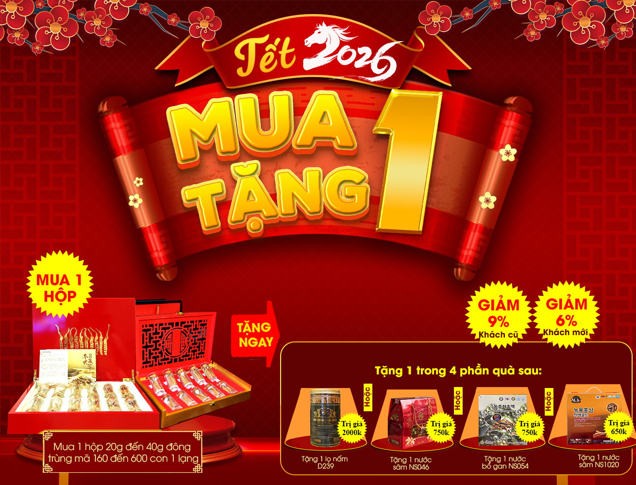 Hộp quà tặng cao cấp Đông Trùng Hạ Thảo Tây Tạng nguyên con 20g/hộp D003