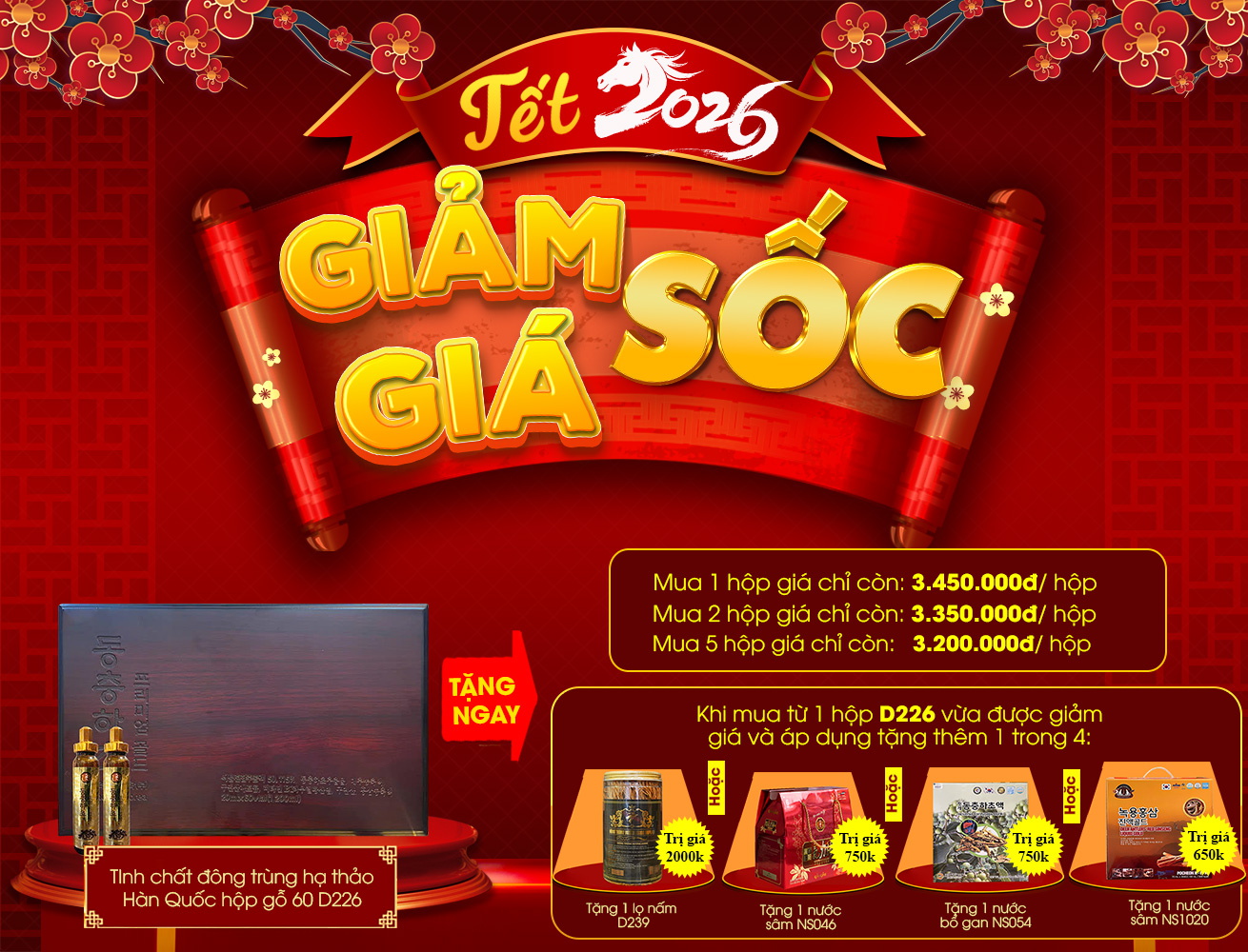 Hộp quà biếu cao cấp tinh chất đông trùng hạ thảo Hàn Quốc hộp gỗ 60 ống Bio D226