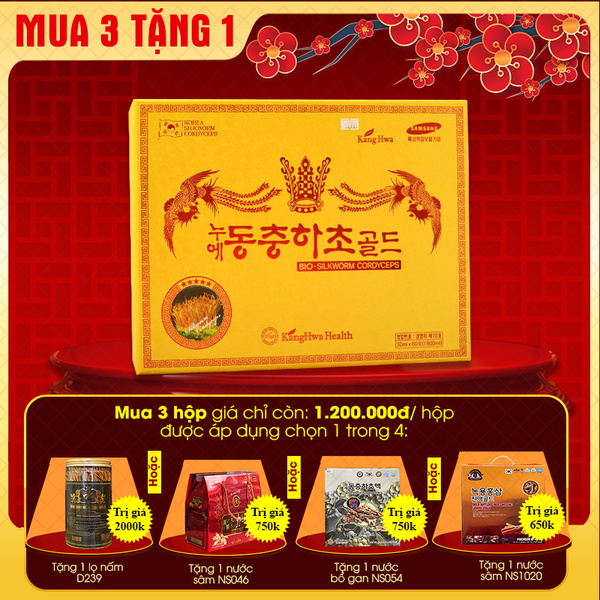 Đông trùng hạ thảo hộp gỗ vàng 60 gói cao cấp D043