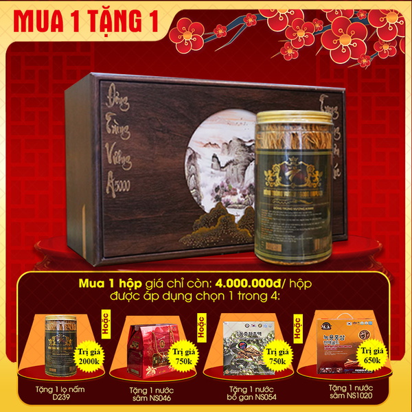 Nấm Đông trùng hạ thảo Đế Vương A5000 D231 - D239