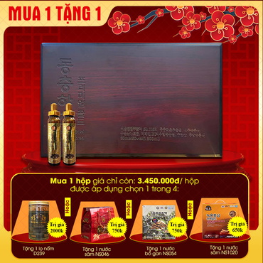 Hộp quà biếu cao cấp tinh chất đông trùng hạ thảo Hàn Quốc hộp gỗ 60 ống Bio D226