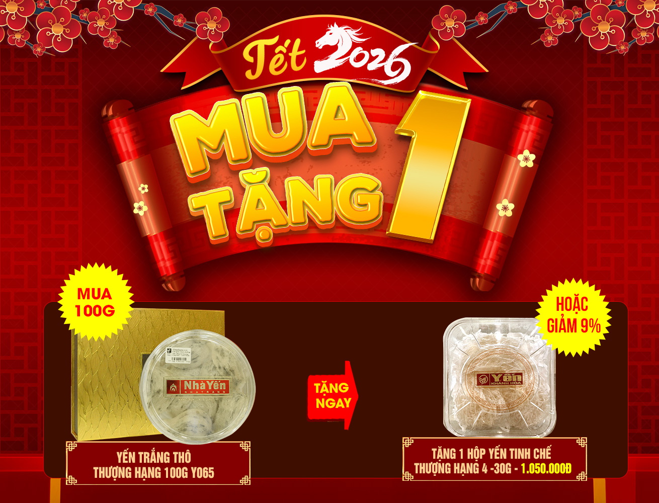 Hộp quà biếu tổ yến trắng thô cao cấp thượng hạng loại 100g/hộp Y065