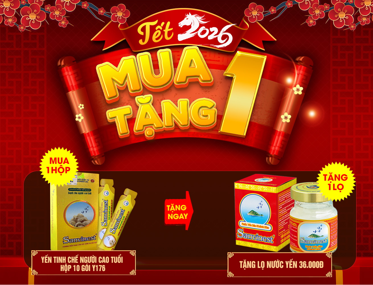 Yến tinh chế người cao tuổi cao cấp hộp 10 gói Y176