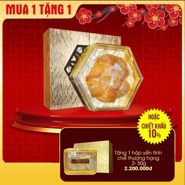 Yến huyết thô thượng hạng loại 100gr/hộp - Y072