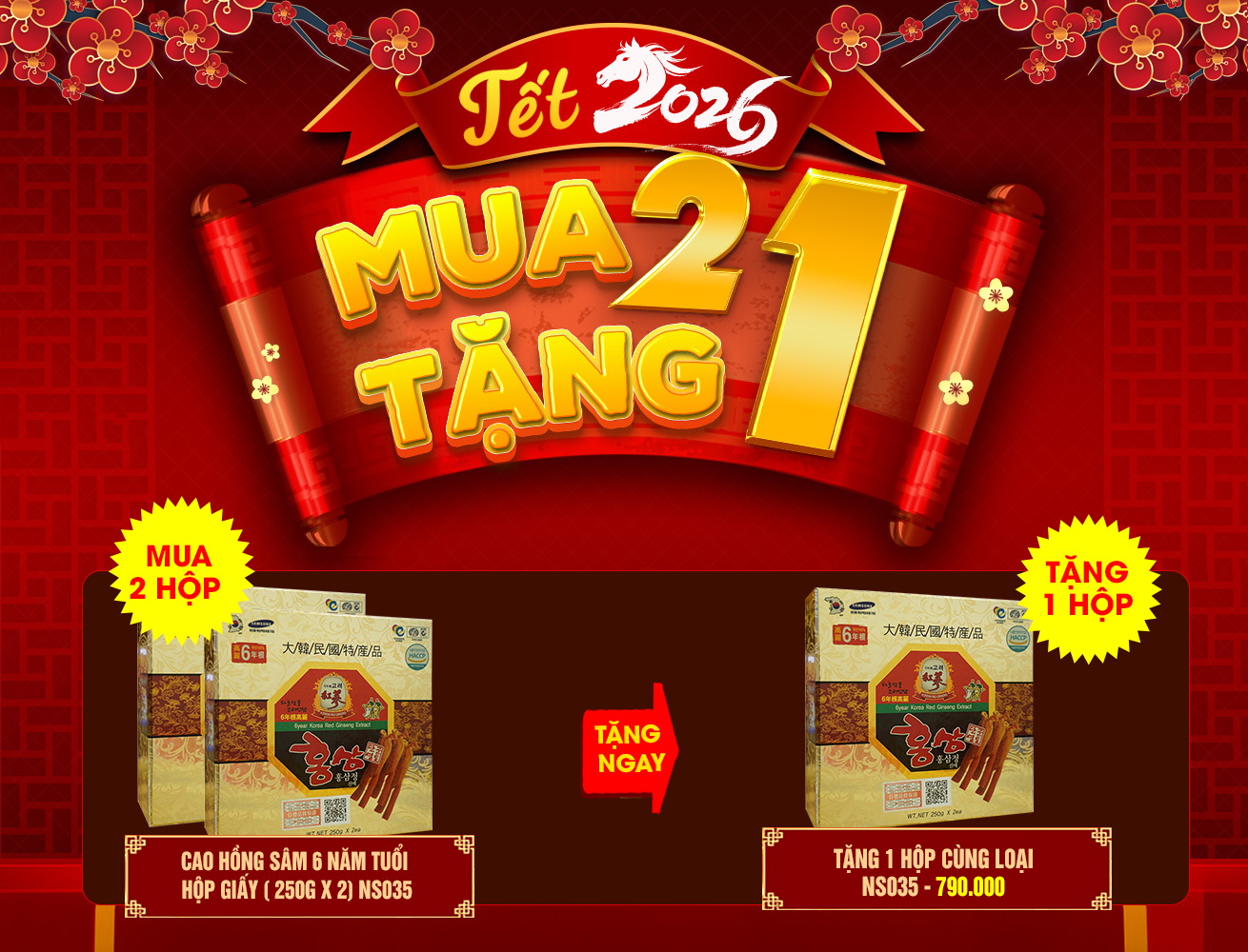Quà tặng ý nghĩa Cao hồng sâm Hàn Quốc 6 năm tuổi 2 lọ/hộp NS035