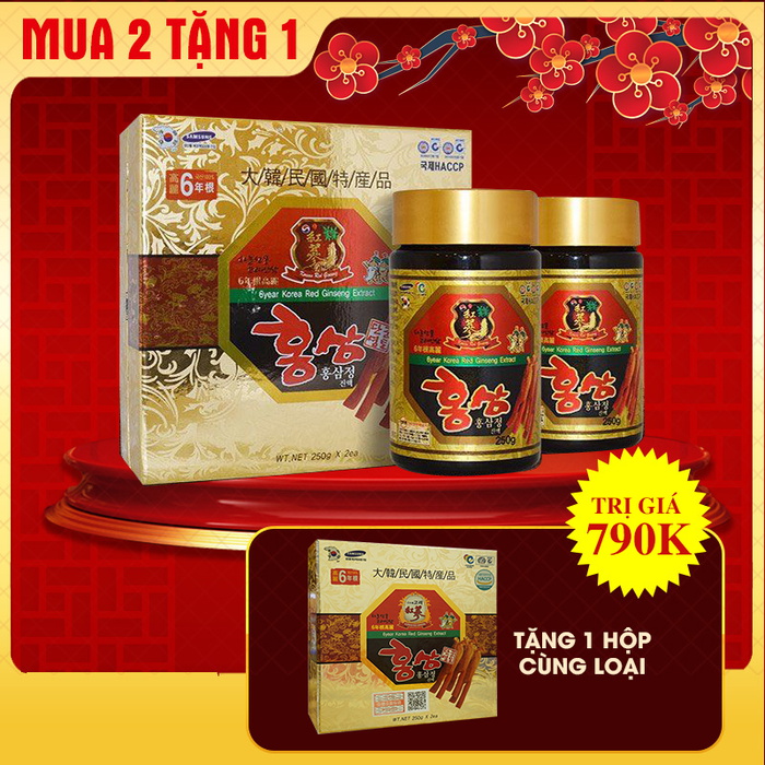 Cao hồng sâm Hàn Quốc cao cấp 6 năm tuổi hộp 2 lọ NS035