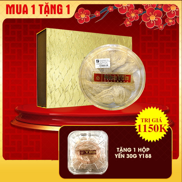 Set quà tặng Tổ yến trắng sơ chế Nhà Yến thượng hạng hộp 100g loại 1 Y066