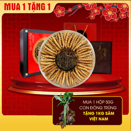 Đông trùng hạ thảo Tây Tạng nguyên con hộp 50gr D011