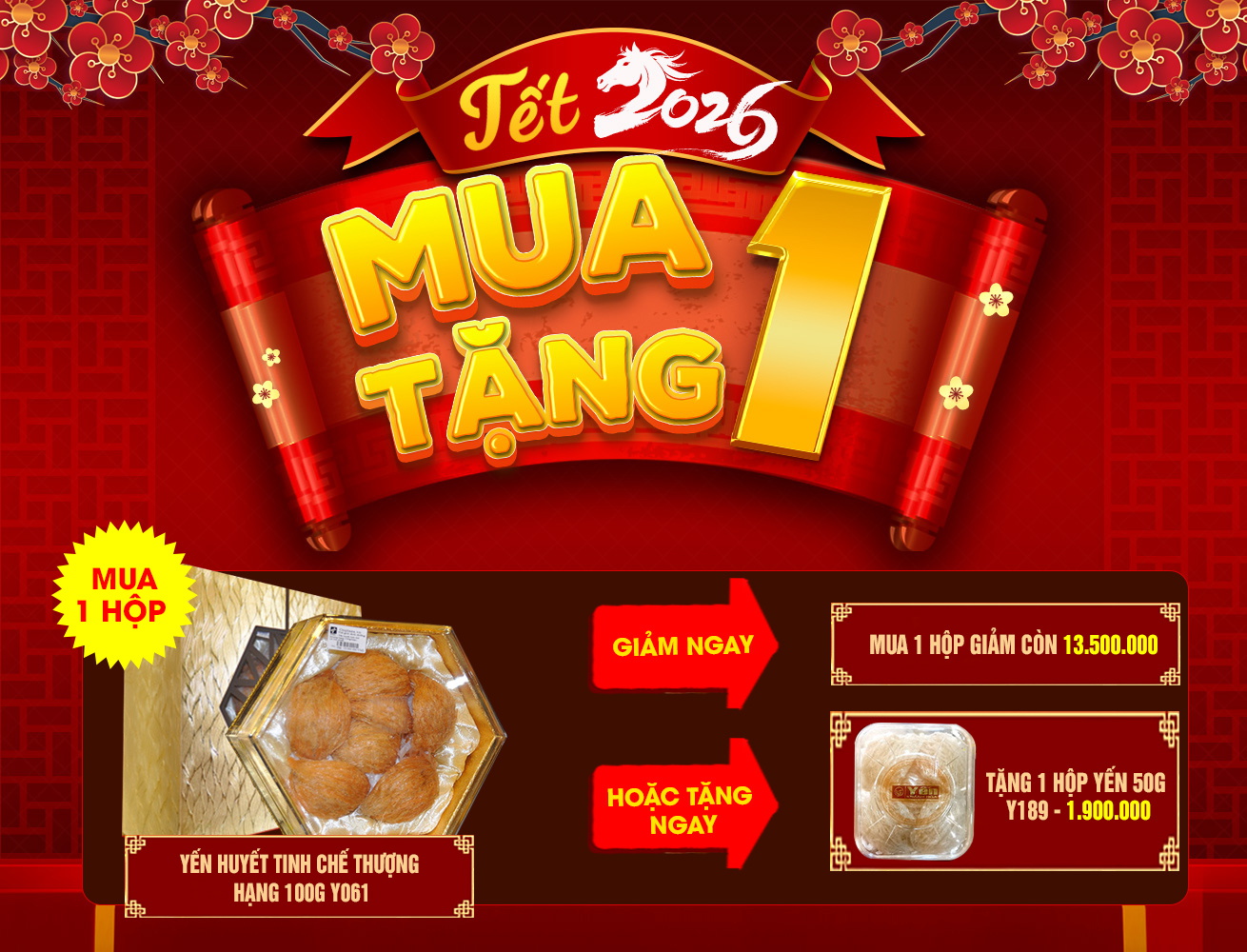 Hộp quà biếu tổ yến huyết tinh chế thượng hạng loại 100g Y061