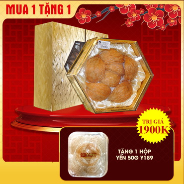 Hộp quà biếu tổ yến huyết tinh chế thượng hạng loại 100g Y061