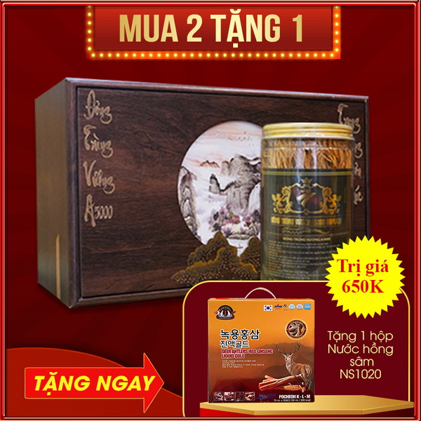 Nấm Đông trùng hạ thảo Đế Vương A5000 D231 - D239