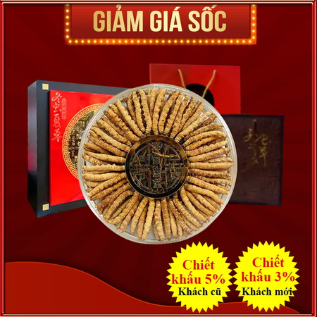 Đông trùng hạ thảo Tây Tạng nguyên con hộp 50gr D011