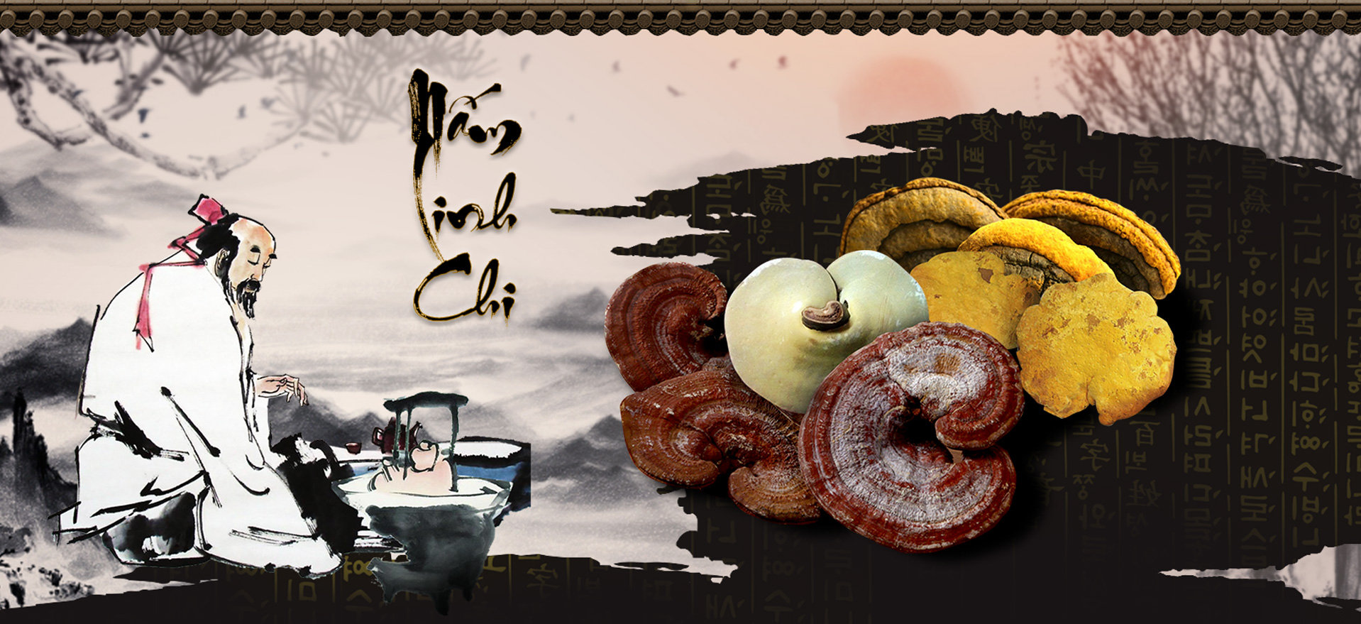 Giá nấm linh chi Hàn Quốc