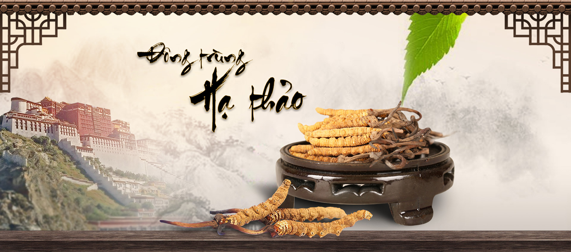 Giá đông trùng hạ thảo