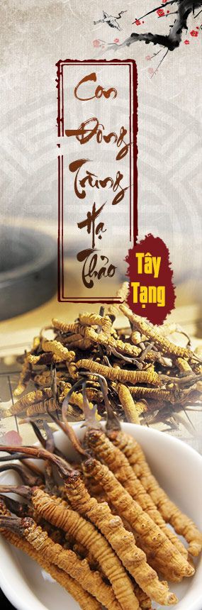 Đông trùng Tây Tạng