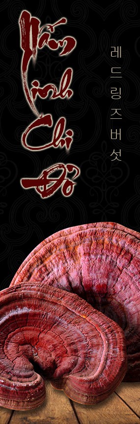 Nấm linh chi đỏ