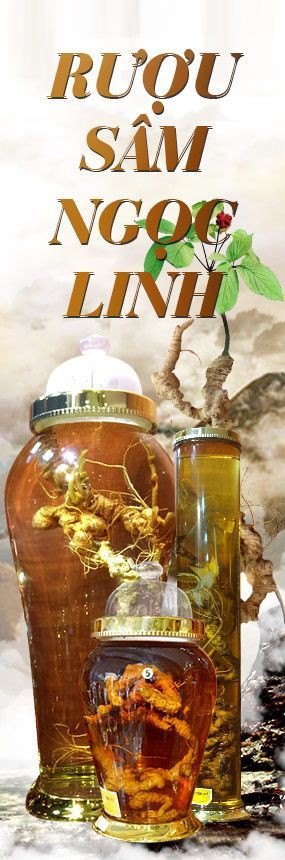 Rượu sâm ngọc linh