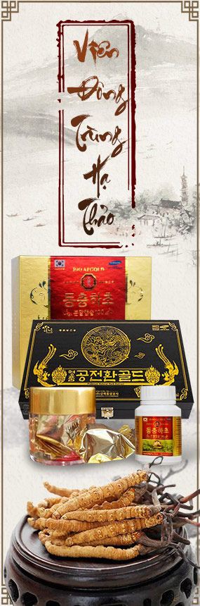 Viên Đông trùng hạ thảo